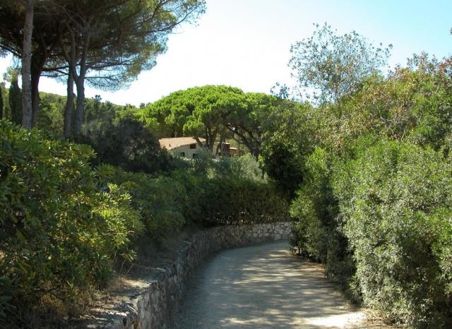 Mono Capo d'Arco - Agrumeto
